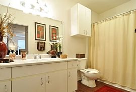 Available Now! in Houston, TX (Photo 4 of 5)