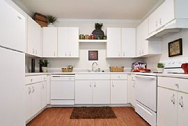 Available Now! in Houston, TX (Photo 5 of 5)