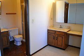 Great Home with Updated Kitchen Including Brakur Cabinets in Bolingbrook, IL (Photo 6 of 7)