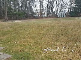 788 Avery St, South Windsor, Ct 06074 in South Windsor, CT