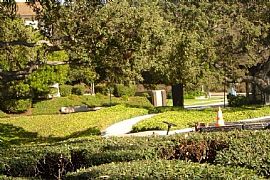 Large Studio in Senior 55+ Community in Thousand Oaks, CA (Photo 10 of 12)