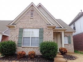 Single Family Home  For Rent in Cordova, TN