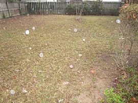 Single Family Home in Powder Springs, GA (Photo 5 of 5)