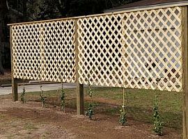 1316 Briarfield Ave, Charleston, Sc 29412 (747) 444-3766 in Charleston, SC (Photo 5 of 7)