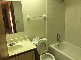 Single Family Home For Rent  in Cape Coral, FL (Photo 4 of 5)