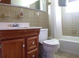 Single Family Home For Rent  in Holiday, FL (Photo 3 of 4)