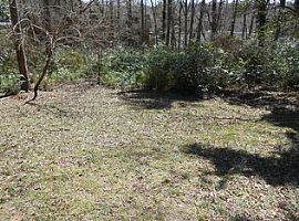 401 Severin St, Chapel Hill, Nc 27516 (747) 444-3766 in Chapel Hill, NC (Photo 3 of 8)