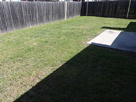 Single Family Home in Forney, TX (Photo 8 of 8)