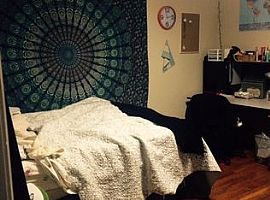 708 Pearl Ave, Morgantown, Wv 26505 in Morgantown, WV (Photo 4 of 6)