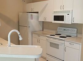 Single Family Home For Rent  in Sarasota, FL (Photo 4 of 4)