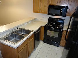 Single Family Home in Land O Lakes, FL (Photo 5 of 9)