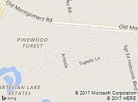 151 Greenleaf Ln, Conroe, Tx 77304  in Conroe, TX (Photo 12 of 12)