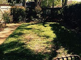 Single Family Home For Rent  in Saint Petersburg, FL (Photo 6 of 7)