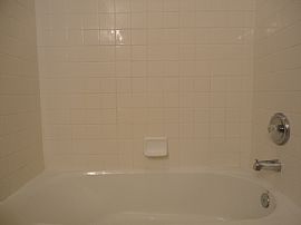 Single Family Home For Rent in Land O Lakes, FL (Photo 8 of 9)