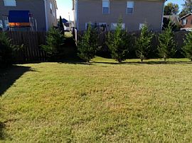 Single Family Home For Rent in Murfreesboro, TN (Photo 7 of 8)