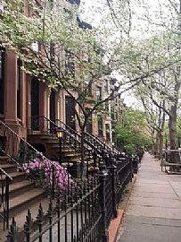 Brand New Renovated Classic Park Slope Studio Apartment. in Brooklyn, NY (Photo 3 of 6)