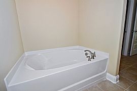 20153 Lamp Lighters Way, Cornelius, Nc in Cornelius, NC (Photo 9 of 12)