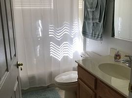 Furnished 4 Beds 3 Baths in Sarasota, FL (Photo 9 of 12)