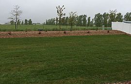 Single 3 Bedroom Family Home For Rent  in Greeley, CO (Photo 4 of 4)