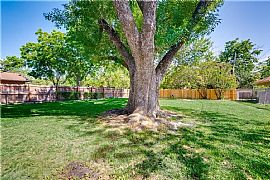 Available Now!! in Dallas, TX (Photo 12 of 12)