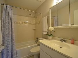 137 Red Cedar Dr, Goose Creek, Sc 29445 3 Beds 1 Bath 929 Sqft in Goose Creek, SC (Photo 6 of 6)