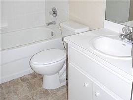 Single Family Home For Rent in Mulberry, FL (Photo 7 of 10)