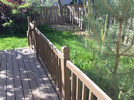 Single Family Home For Rent in Aurora, CO (Photo 7 of 8)