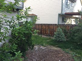 Single Family Home For Rent in Aurora, CO (Photo 8 of 8)