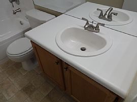 Single Family Home For Rent in Castle Rock, CO (Photo 10 of 12)