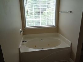 Single Family Home For Rent in Buford, GA (Photo 9 of 12)