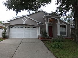 318 Sonoma Drive Valrico, Fl 33594 in Valrico, FL