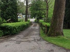 3 Beds 2 Baths in Valley Grove, WV (Photo 6 of 6)