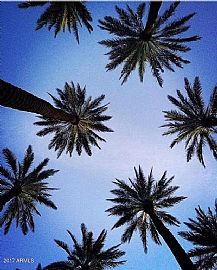 4440 N 44th St, Phoenix, Az 85018 3 Beds 2 Baths 1,296 Sqft in Phoenix, AZ (Photo 10 of 12)