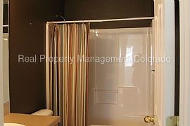 Single Family Home For Rent in Fort Collins, CO (Photo 5 of 8)