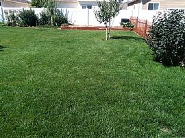 Single Family Home For Rent in Fort Collins, CO (Photo 7 of 8)