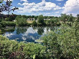 Single Family Home For Rent in Arvada, CO (Photo 8 of 8)