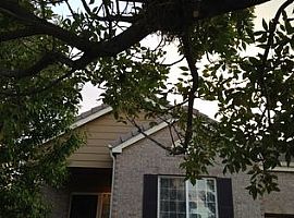 3 Beds 2 Baths 2,588 in Denver, Co in Denver, CO (Photo 2 of 10)