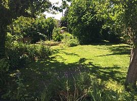 2 Beds 1 Bath 750 Sqft For Rent  in Seattle, WA (Photo 7 of 7)