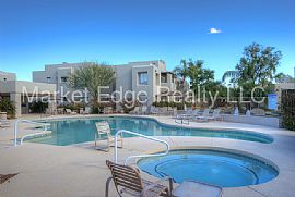 Single Family Home For Rent in Scottsdale, AZ
