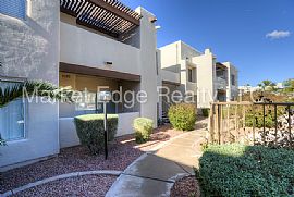 Single Family Home For Rent in Scottsdale, AZ (Photo 10 of 12)
