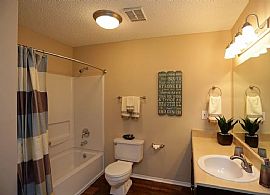 2 Beds 2 Baths -- Sqft in Birmingham, AL (Photo 3 of 8)