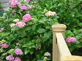 3 Beds 2 Baths in South Salem, Ny in South Salem, NY (Photo 7 of 11)