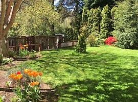 Elegant 4 Bedroom Home  Available in Portland, OR (Photo 12 of 12)