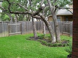3 Beds 2.5 Baths in Austin, Tx in Austin, TX (Photo 6 of 10)
