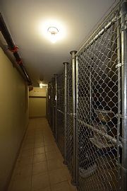 2 Bed 2 Bath in Washington, DC (Photo 8 of 12)