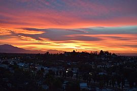 3 Beds 2.5 Baths in Los Angeles, CA (Photo 12 of 12)