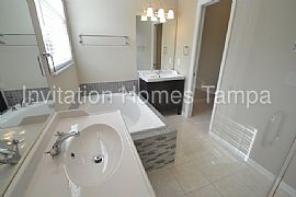 Single Family Home For Rent in Brandon, FL (Photo 5 of 7)