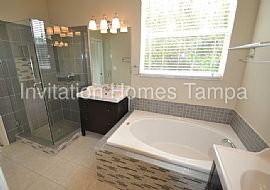 Single Family Home For Rent in Brandon, FL (Photo 6 of 7)