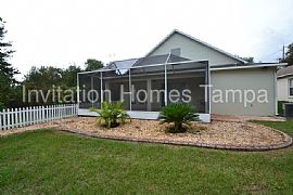 Single Family Home For Rent in Brandon, FL (Photo 7 of 7)