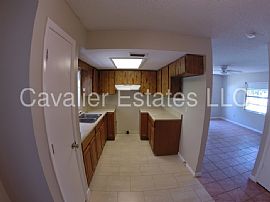 Single Family Home For Rent in Tampa, FL (Photo 3 of 8)